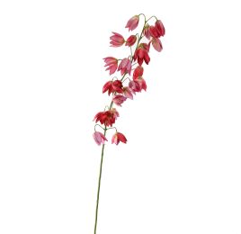 SHIRUI LILY 102CM BEAUTY