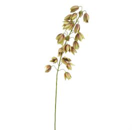SHIRUI LILY 102CM GREEN
