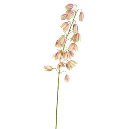 SHIRUI LILY 102CM PINK