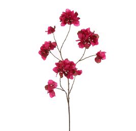 BOUGAINVILLEA 111CM BEAUTY