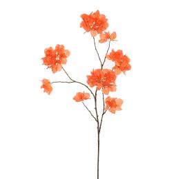 BOUGAINVILLEA 111CM CORAL 