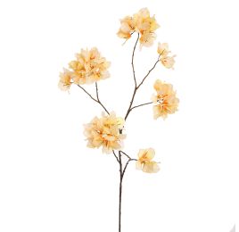 BOUGAINVILLEA 111CM YELLOW