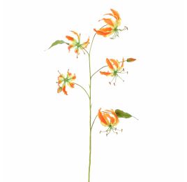GLORIOSA LILY 106CM ORANGE