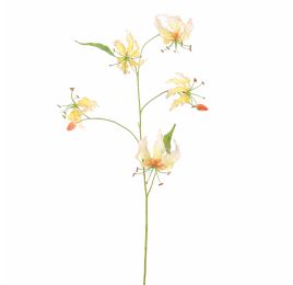 GLORIOSA LILY 106CM PEACH