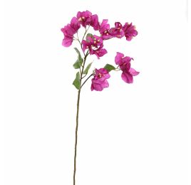 BOUGAINVILLEA 70CM LAVENDER