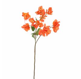 BOUGAINVILLEA 70CM ORANGE
