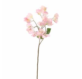 BOUGAINVILLEA 70CM PINK