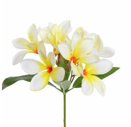FRANGIPANI 90CM CREAM