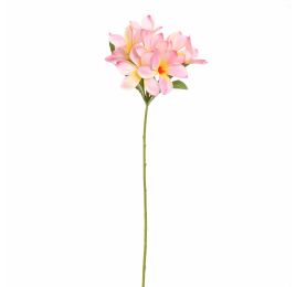 FRANGIPANI 90CM PINK