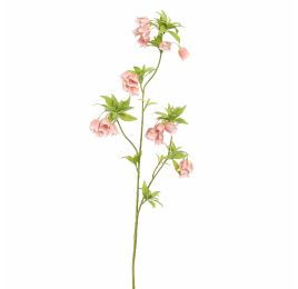 ENKIANTHUS 82CM PINK