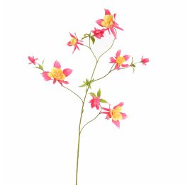 AQUILEGIA SPRAY 104CM BEAUTY
