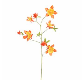 AQUILEGIA SPRAY 104CM ORANGE