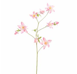 AQUILEGIA SPRAY 104CM PINK