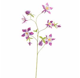 AQUILEGIA SPRAY 104CM PURPLE