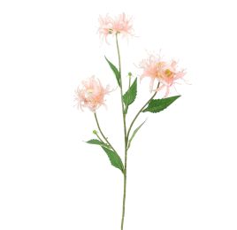 NERINE 70CM PINK