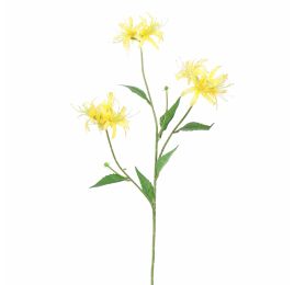 NERINE 70CM YELLOW