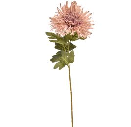 SPIDER MUM 73CM LILAC