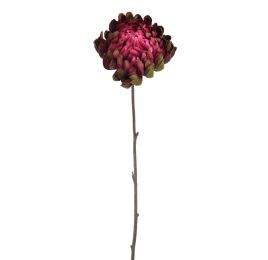 LARGE MUM 69CM BURGUNDY