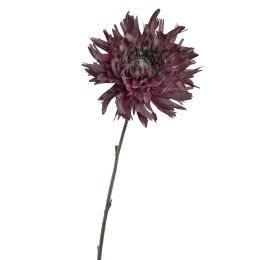 SPIDER MUM 56CM BEAUTY