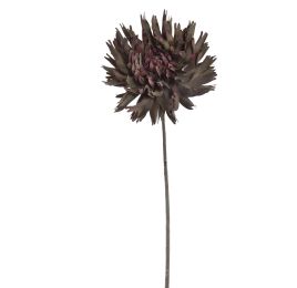 SPIDER MUM 56CM GREEN