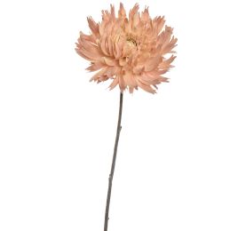 SPIDER MUM 56CM PEACH