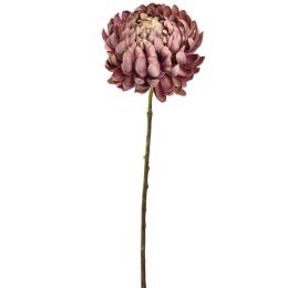 LARGE MUM 65CM MAUVE