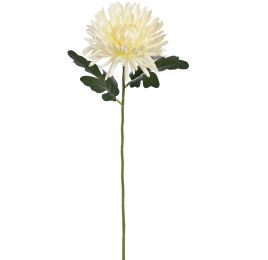 SPIDER MUM 65CM CREAM