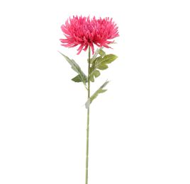 SPIDER MUM 70CM BEAUTY