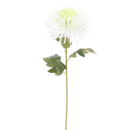 SPIDER MUM 70CM CREAM GREEN