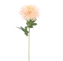 SPIDER MUM 70CM PEACH