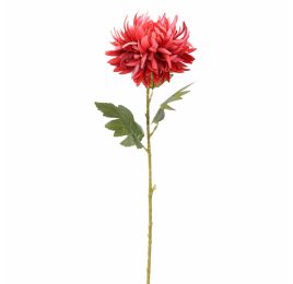 LARGE MUM 76CM BEAUTY