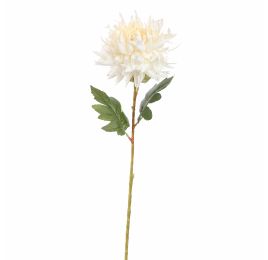 LARGE MUM 76CM CREAM