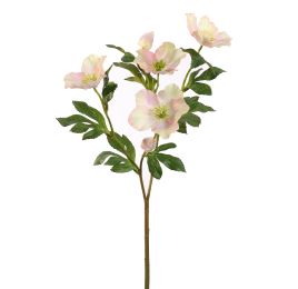 CHRISTMAS ROSE 65CM CREAM PINK