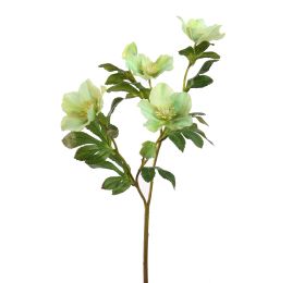 CHRISTMAS ROSE 65CM GREEN