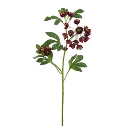 MATHIASELLA 67CM BURGUNDY