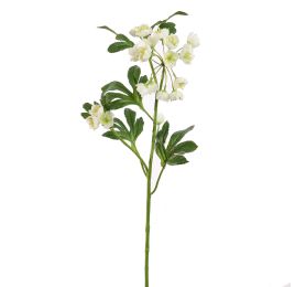 MATHIASELLA 67CM CREAM