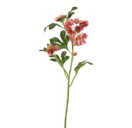 MATHIASELLA 67CM PINK