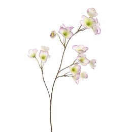 MINI HELLEBORUS 71CM AUBERGINE