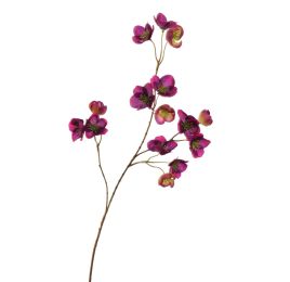 MINI HELLEBORUS 71CM CREAM LILA