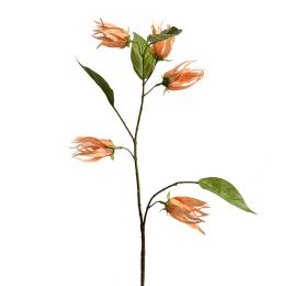 YLANG FLOWER SPRAY 76CM AMBER