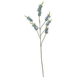 LARGE SALVIA NUTANS 100CM BLUE