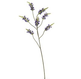 LARGE SALVIA NUTANS 100CM PURPLE