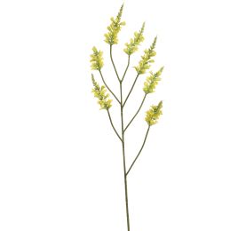 LARGE SALVIA NUTANS 100CM YELLOW