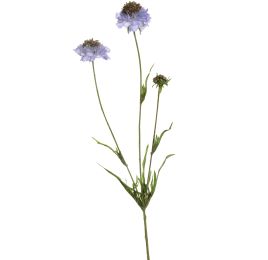 SCABIOSA SPRAY 66CM BLUE
