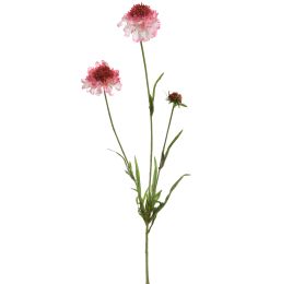 SCABIOSA SPRAY 66CM CREAM PINK