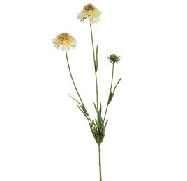 SCABIOSA SPRAY 66CM YELLOW