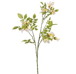 MANDRAGORA SPRAY 82CM CREAM