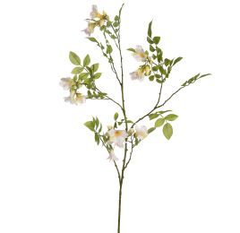 LARGE MANDRAGORA SPRAY 116CM CREAM