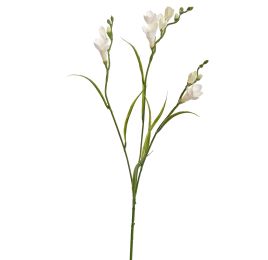 FREESIA X3 SPRAY 65CM CREAM