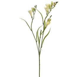 FREESIA X3 SPRAY 65CM GREEN